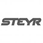 Steyr (Steyr Mannlicher)